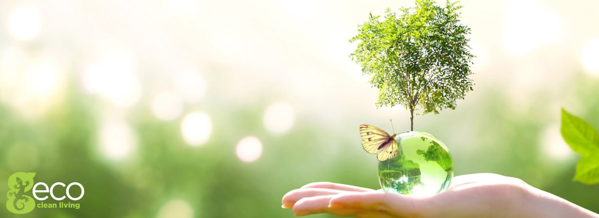 Caprichem is caring for our planet